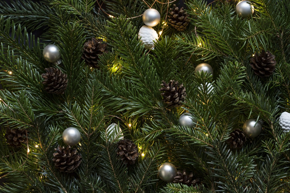 Frohe Weihnachten!